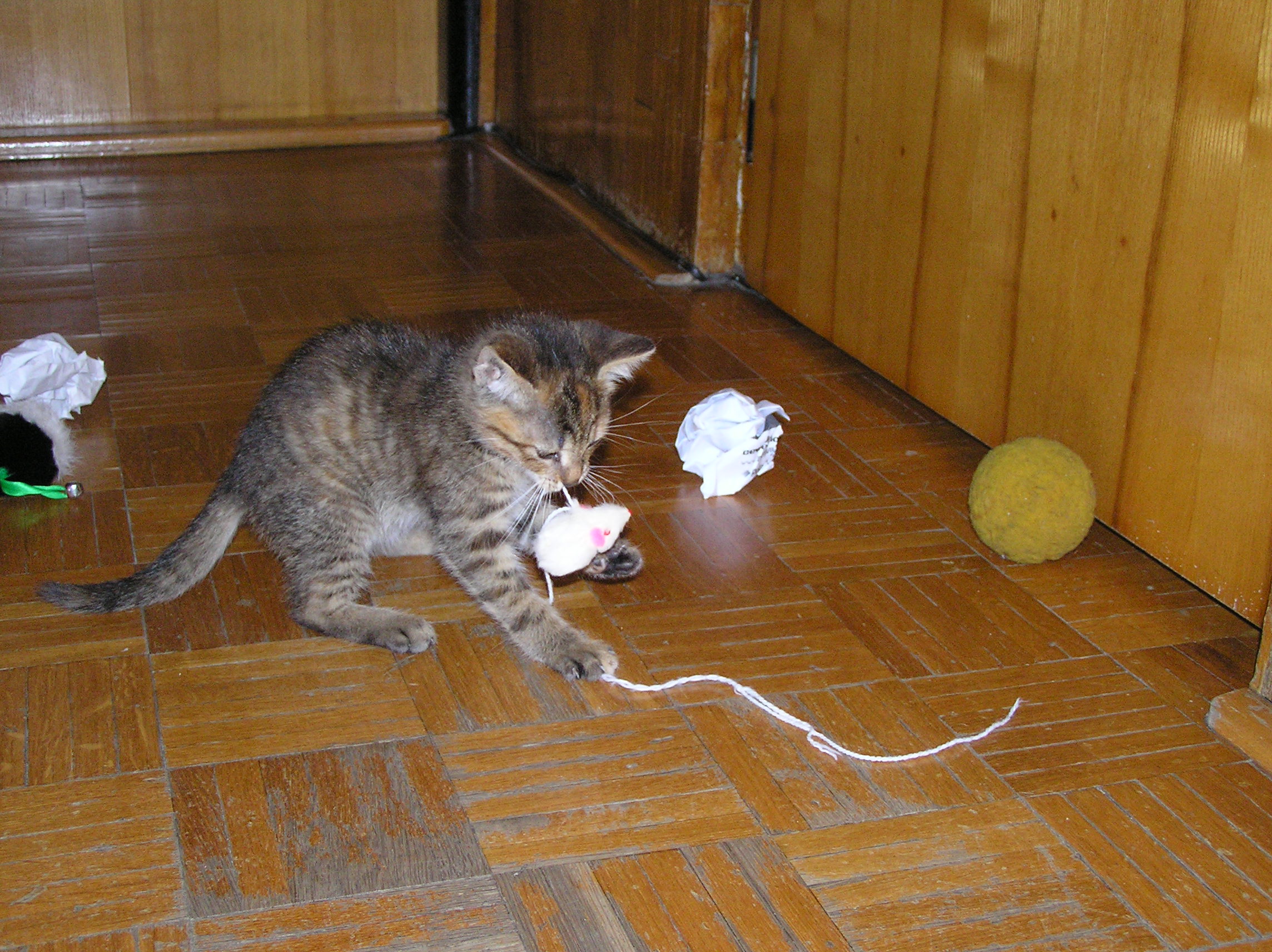 P9130011.JPG